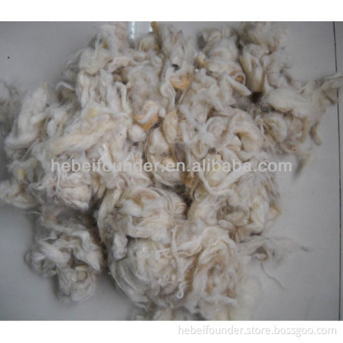 Carpet Grade Scoured Clipped Wool,White color